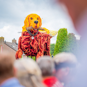 Corso Sint Jansklooster
