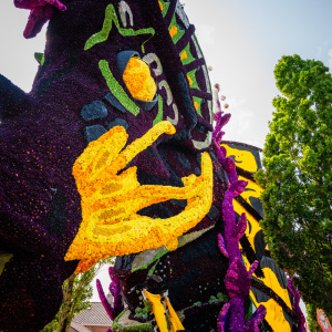 Corso Sint Jansklooster