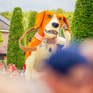 Corso Sint Jansklooster