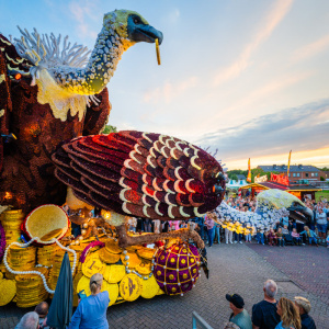 Corso Sint Jansklooster