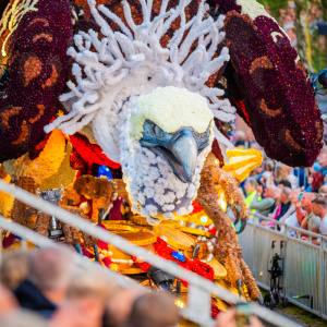 Corso Sint Jansklooster
