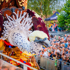 Corso Sint Jansklooster