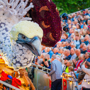 Corso Sint Jansklooster