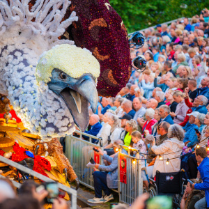 Corso Sint Jansklooster