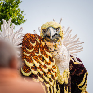 Corso Sint Jansklooster