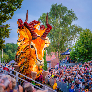 Corso Sint Jansklooster