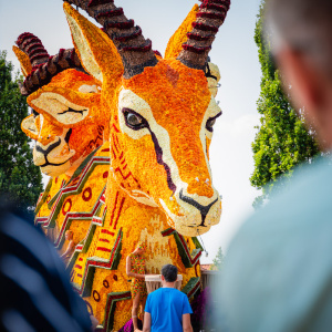 Corso Sint Jansklooster