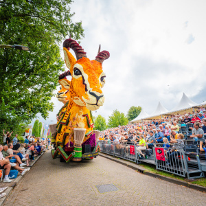 Corso Sint Jansklooster