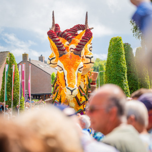 Corso Sint Jansklooster