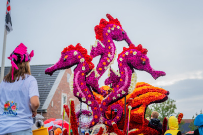 Corso Sint Jansklooster