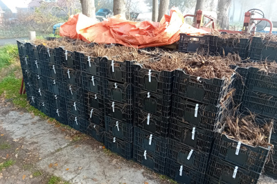 Corso Sint Jansklooster