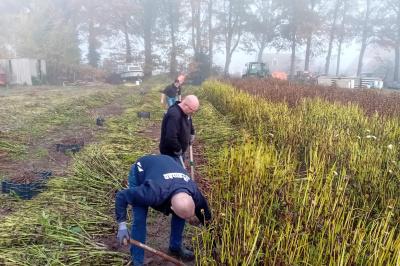 Corso Sint Jansklooster