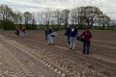 Corso Sint Jansklooster