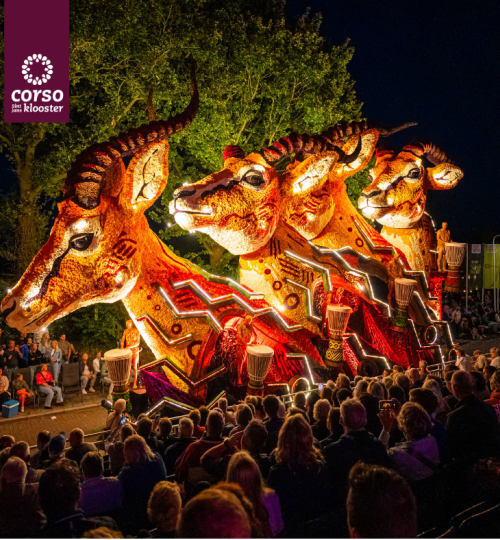 HET AVONDCORSO VOOR HET EERST OP TV!