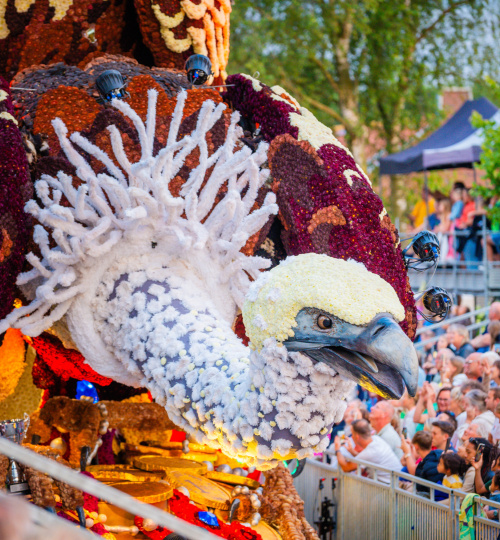 CORSO SINT JANSKLOOSTER LANCEERT NIEUWE WEBSITE!