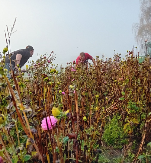 ROOITIJD BIJ GROEP HEBBES