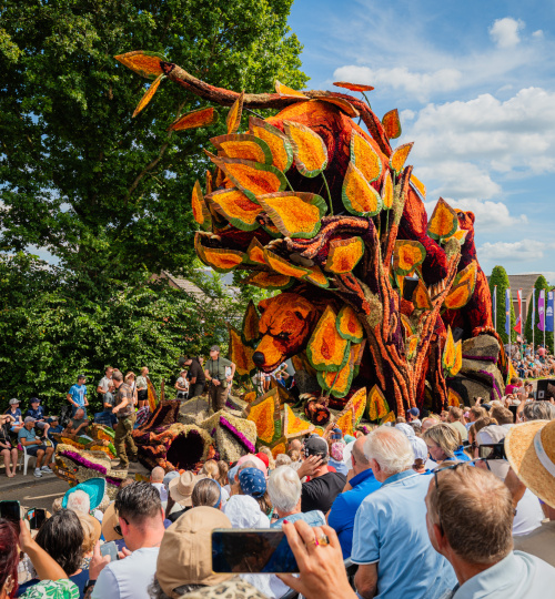 WINNAARS ALLE CORSOPRIJZEN BEKEND!