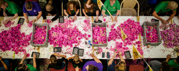 Corso Sint Jansklooster