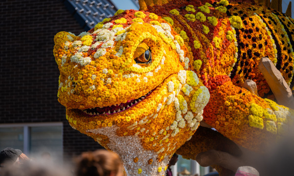 Corso Sint Jansklooster