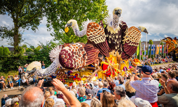 Corso Sint Jansklooster