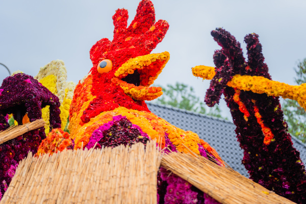 Corso Sint Jansklooster