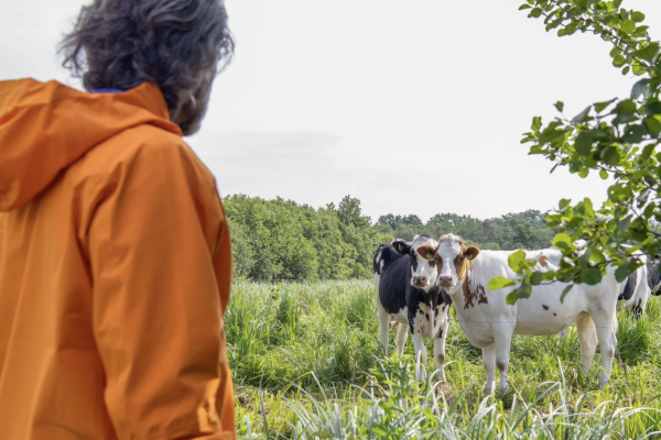 Overnachten & Ontdekken