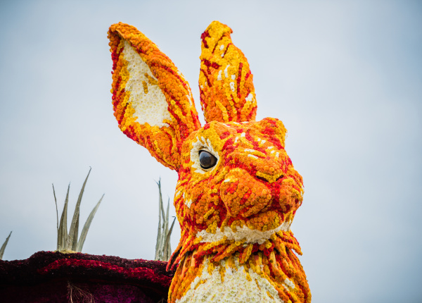 Corso Sint Jansklooster