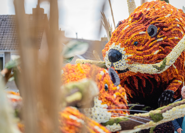 Corso Sint Jansklooster