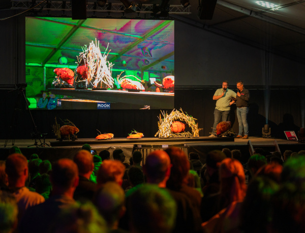 Corso Sint Jansklooster