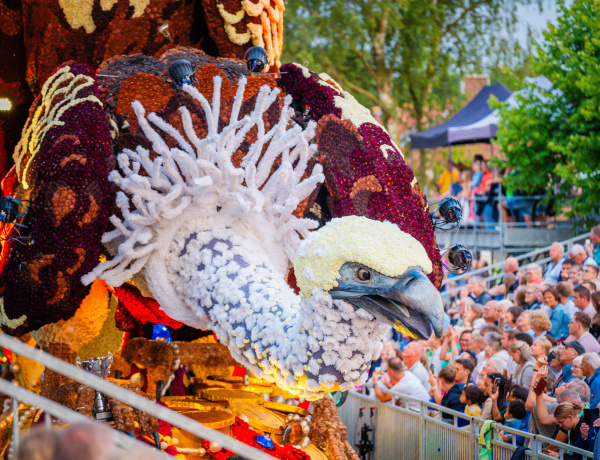 Corso Sint Jansklooster, Corsogroep Olympia 204