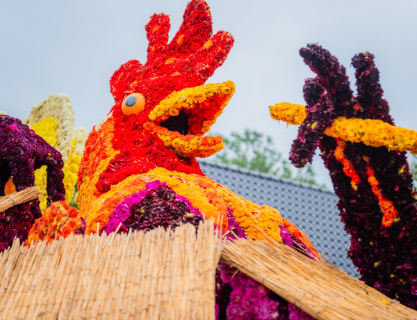 Corso Sint Jansklooster