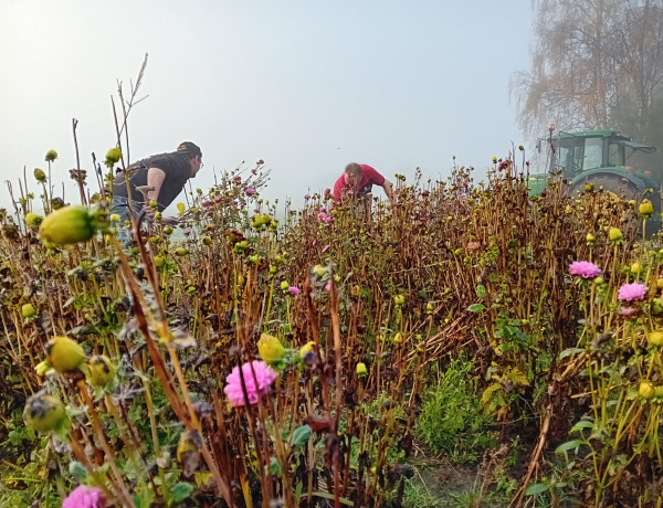 Corso Sint Jansklooster