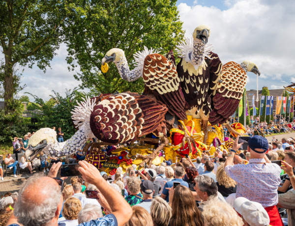 Corso Sint Jansklooster