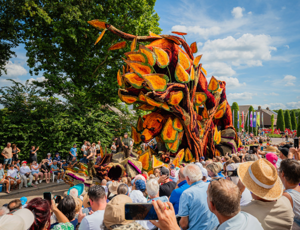 Corso Sint Jansklooster