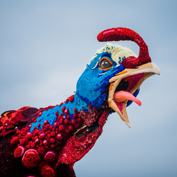 Flower Parade Festival 2023 - 2023