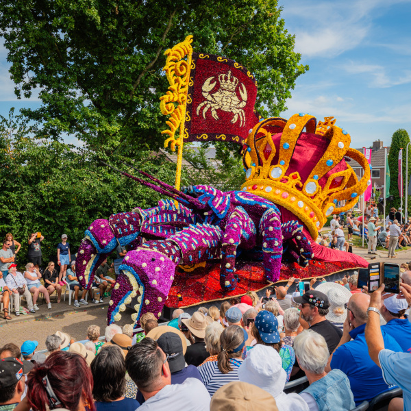 Gaos - Corso Sint Jansklooster
