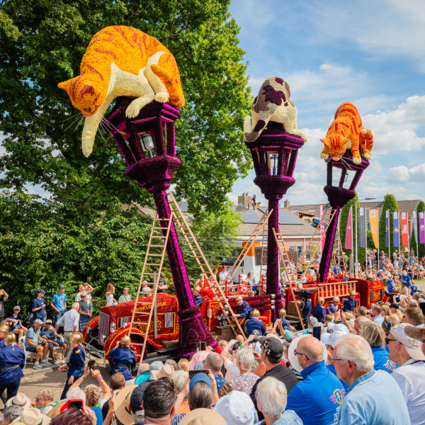 Deurgoan - Corso Sint Jansklooster