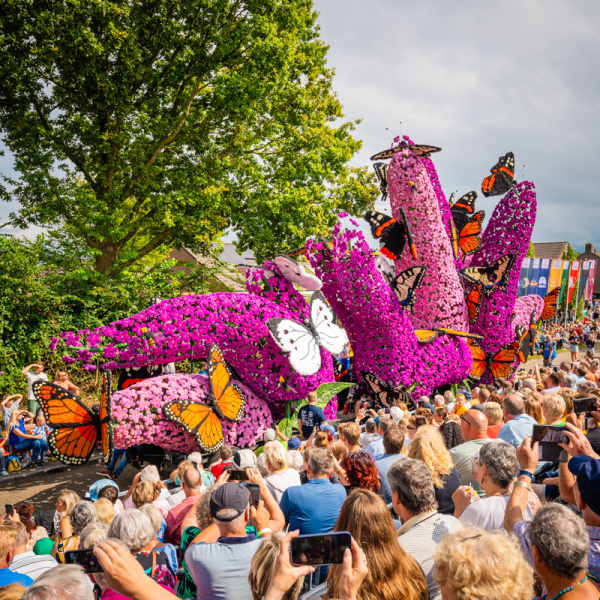 After Nero's - Corso Sint Jansklooster