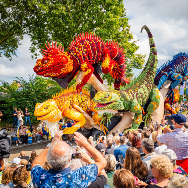 Alliance - Corso Sint Jansklooster