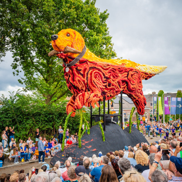 Forza - Corso Sint Jansklooster