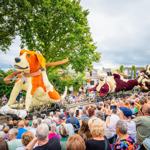 Gaos - Corso Sint Jansklooster