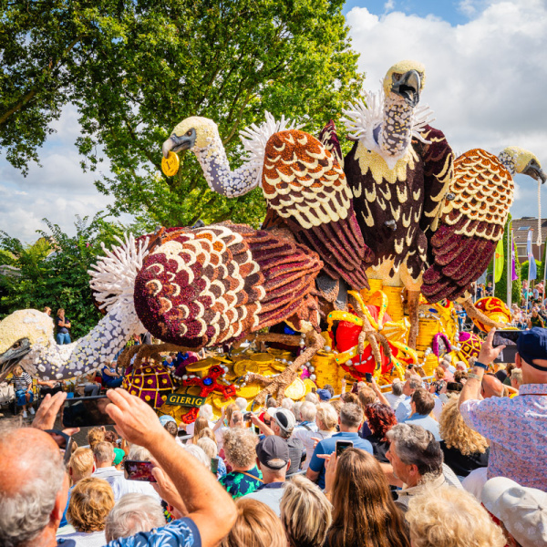 Olympia - Gierig - Corso Sint Jansklooster