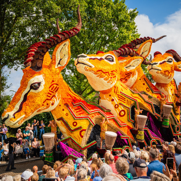 PODB cq. De Brekers - Corso Sint Jansklooster